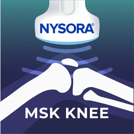 NYSORA MSK US Knee Читы