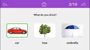 Wh Questions by Teach Speech screenshot 2