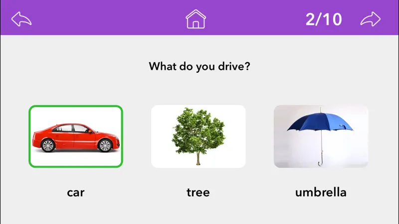 Wh Questions by Teach Speech screenshot 2 of 5