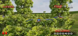 Game screenshot Bird Race 3D apk