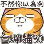 白爛貓30 超愛演 App Problems