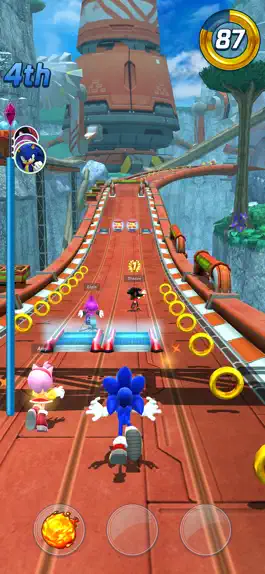 Game screenshot Sonic Forces - Racing Battle hack