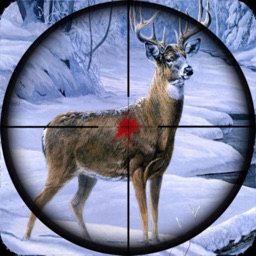 Sniper Animal Hunting Game 3D