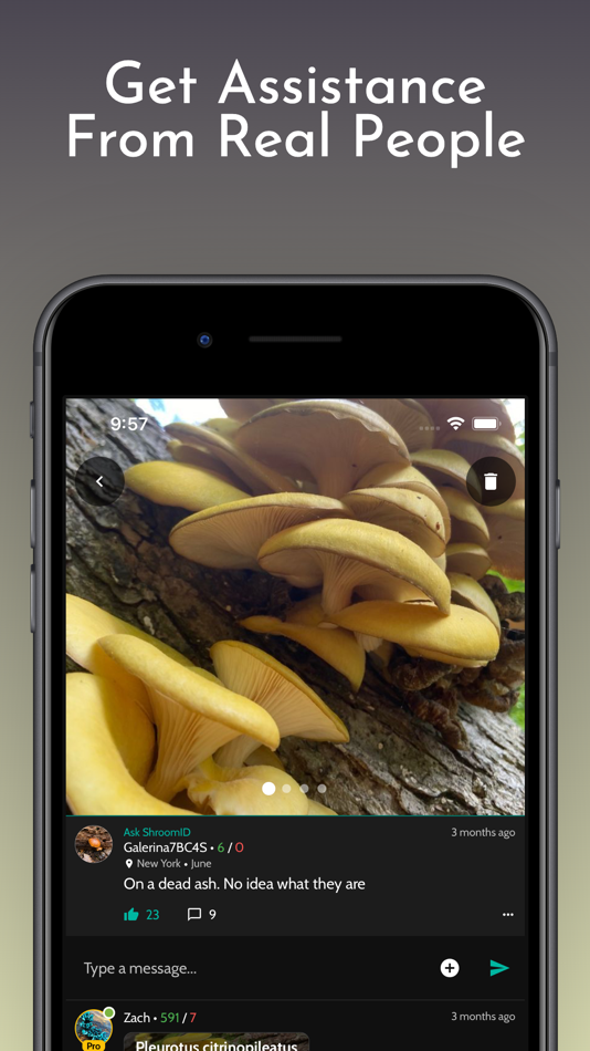 #6. ShroomID - Identify Mushrooms (iOS) 由: ZH Creations LLC
