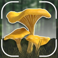Mushroom Identification ID App Reviews