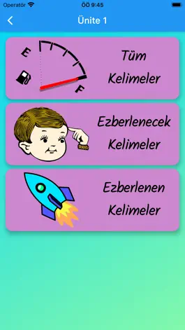 Game screenshot 11. Sınıf İngilizce apk