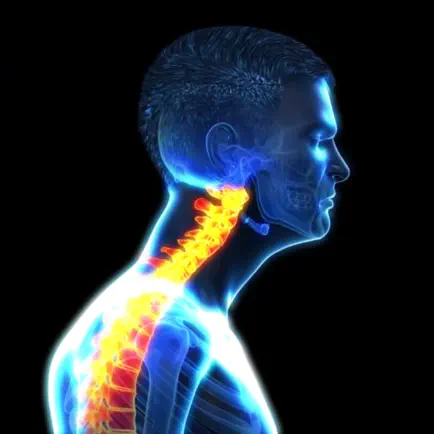 Neck Posture Therapy Читы