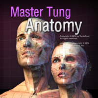 Master Tungs Acupoint Anatomy