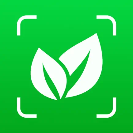 Plant ID: Nature Identifier AI Cheats
