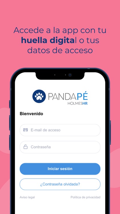 Pandapé reloj laboral