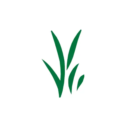 New Life Reformed Church Читы