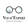 Icon Vue d'Expert