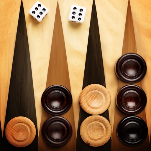  Crazy Games Backgammon Set - 2 players Classic