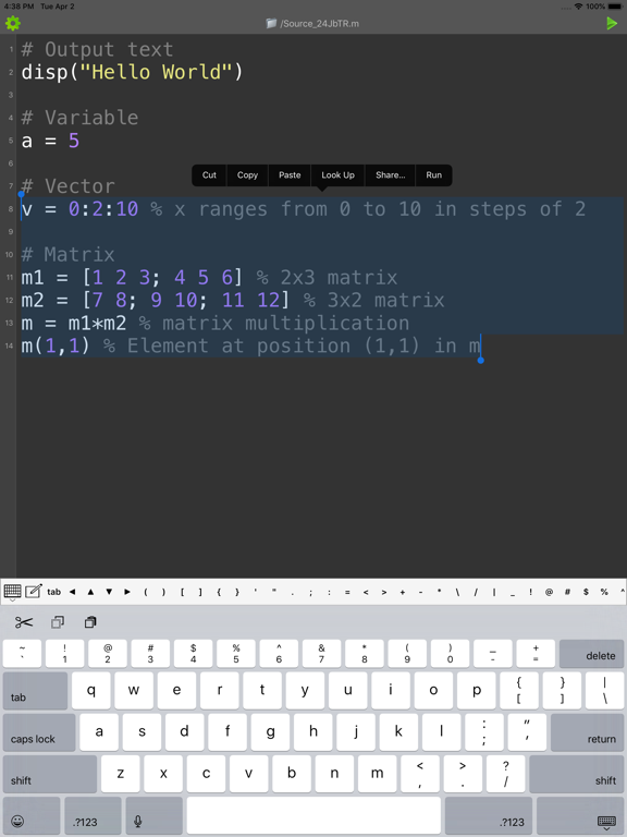 Madona: Run MATLAB/Octave code iPad screenshot