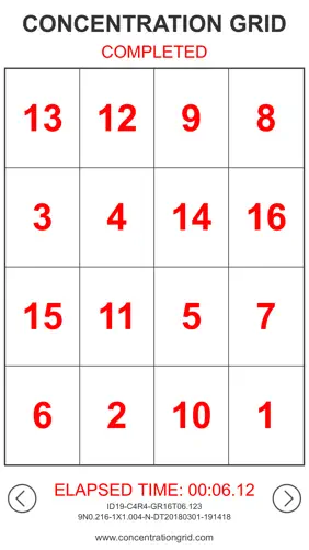 Concentration Grid screenshot 3