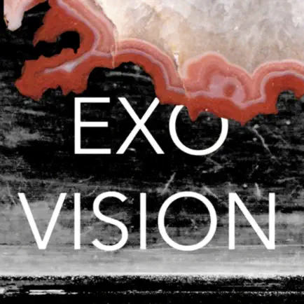 Exovision Читы