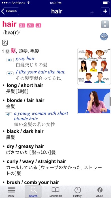 Longman E-J Dictionary Screenshot