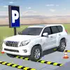 Amazing City Car Parking Sim negative reviews, comments