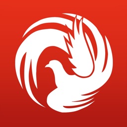 掌上金凤