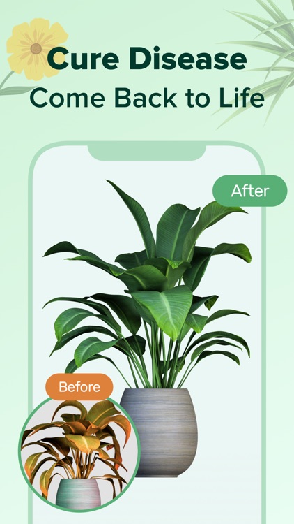 PlantNow-Plant Identification