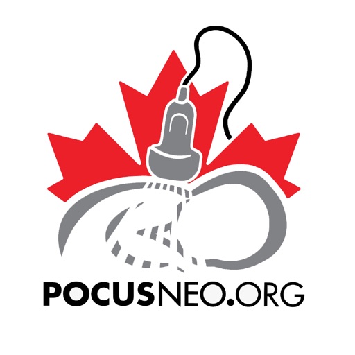 Neonatal Hemodynamics CDSS