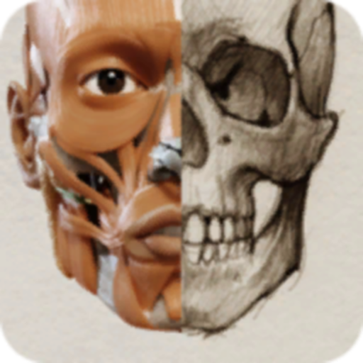 3D Anatomy for the Artist 2024 icon