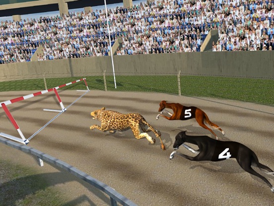 Crazy Dog Racing -Dog Games iPad screenshot 4 - Games app
