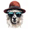 Hey Llama App Support