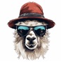 Hey Llama app download