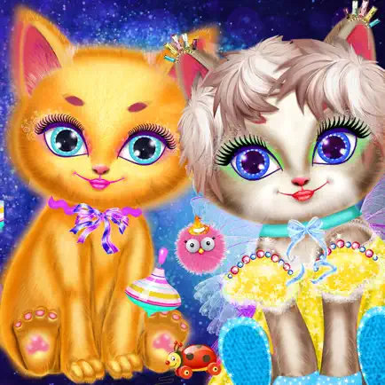 домашнее животное Кот Читы