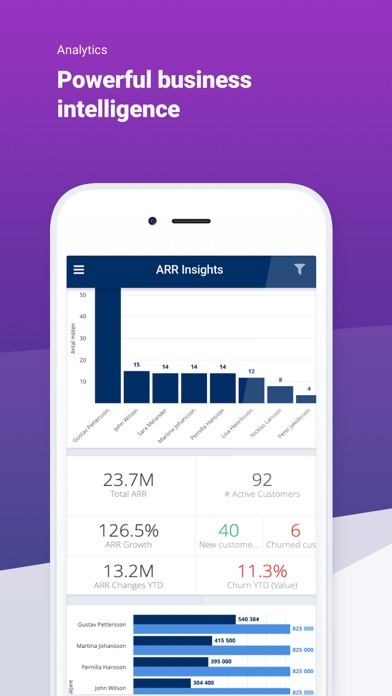 Upsales Screenshot