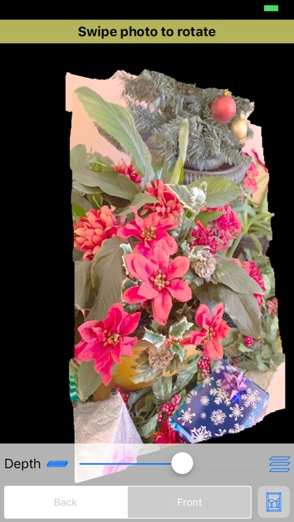 Photo Window Pro screenshot-3