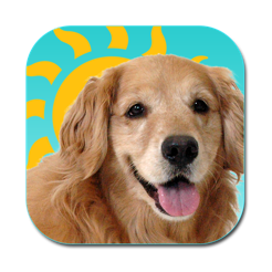 ‎Sundoggy