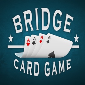 螢幕擷取畫面 (6) Bridge Card Game