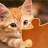 Cat Puzzles contact information