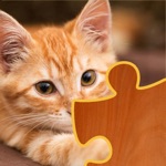 Download Cat Puzzles app