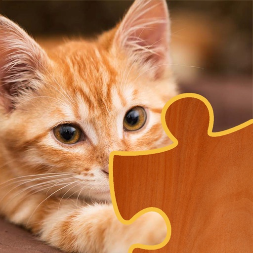 Cat Puzzles