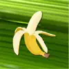 Banano Manager negative reviews, comments