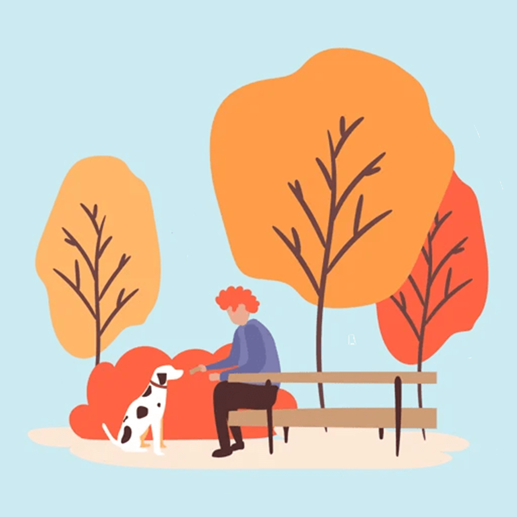 Get Autumn emoji & Fall Stickers for iOS, iPhone, iPad Aso Report