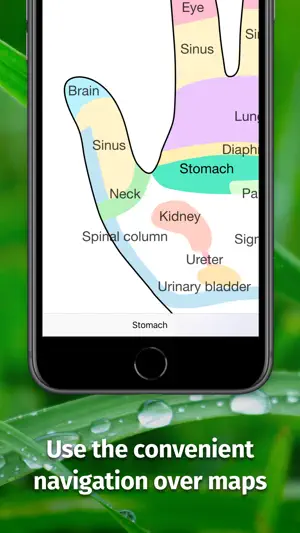 Massage Maps • Reflexology screenshot 2