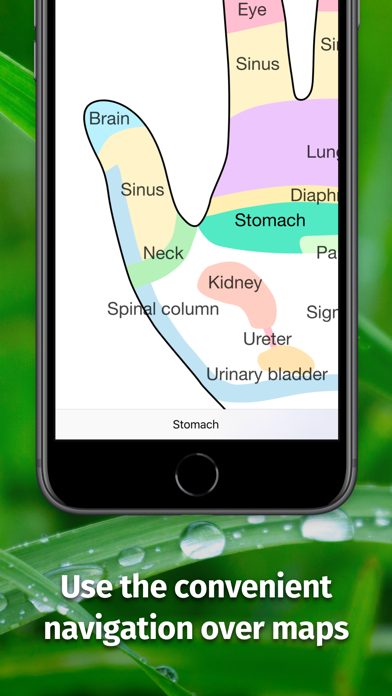 Screenshot #2 pour Massage Maps • Réflexologie