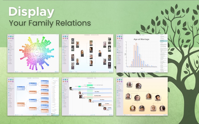 macfamilytree 10 problems & solutions and troubleshooting guide - 4