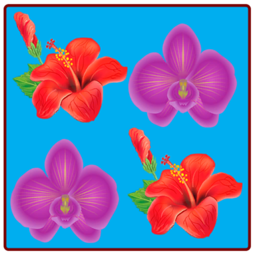 Memory Puzzle Game app icon