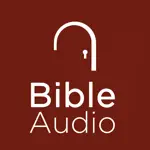 Bible Audio App Problems