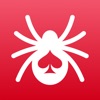 Spider The Game icon