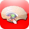 Anatomy Atlas - iPhoneアプリ