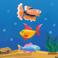 Fishing Clash Happy Aquarium