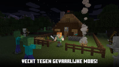 Minecraft App Store preview screenshot 3