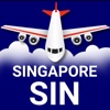 Flights Singapore - iPadアプリ
