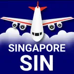 Flights Singapore App Cancel